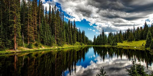 A serene lake reflecting pine trees and a dramatic cloudy sky.