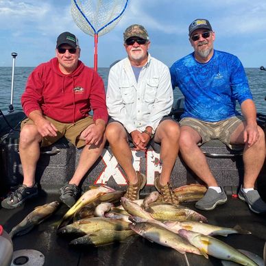 Happy Customers aboard XTR Fishing Charters with their limit of Lake Erie Walleye.