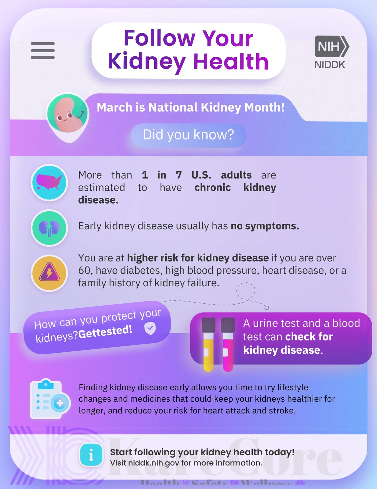 Kidney Health