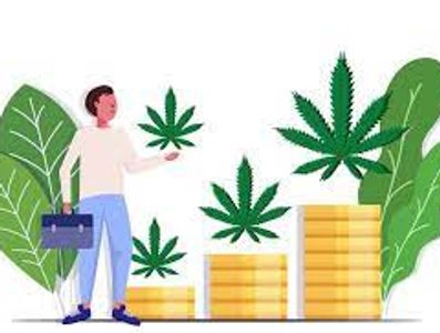 Financing a marijuana real estate purchase