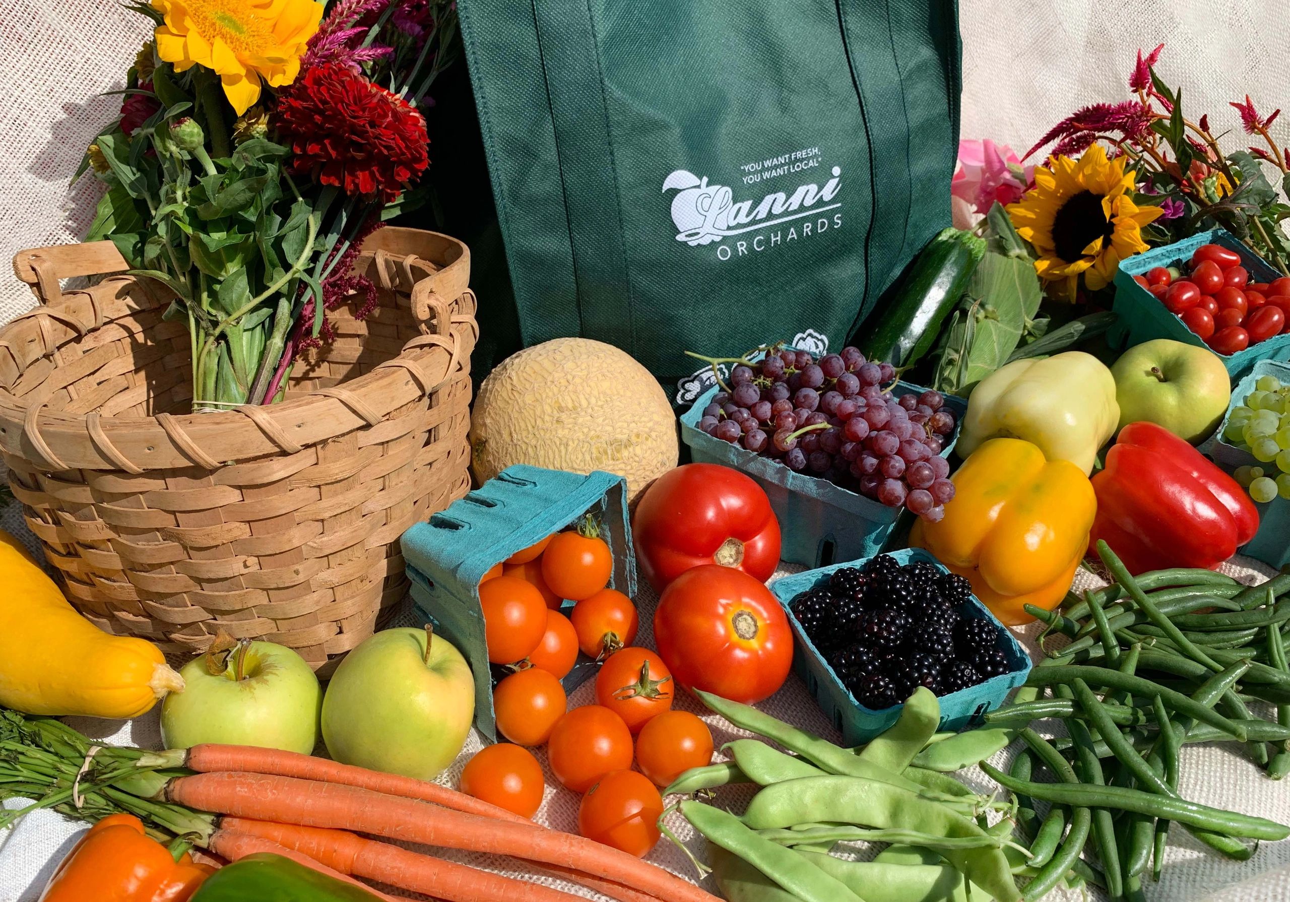 fruits and veggies that we grow & offer as a farm share. CSA farm shares are weekly bags of produce.