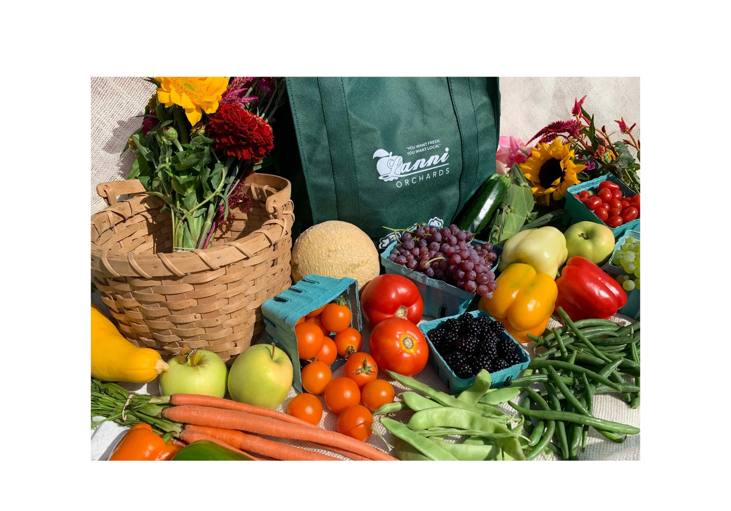 CSA Farm Shares now available
