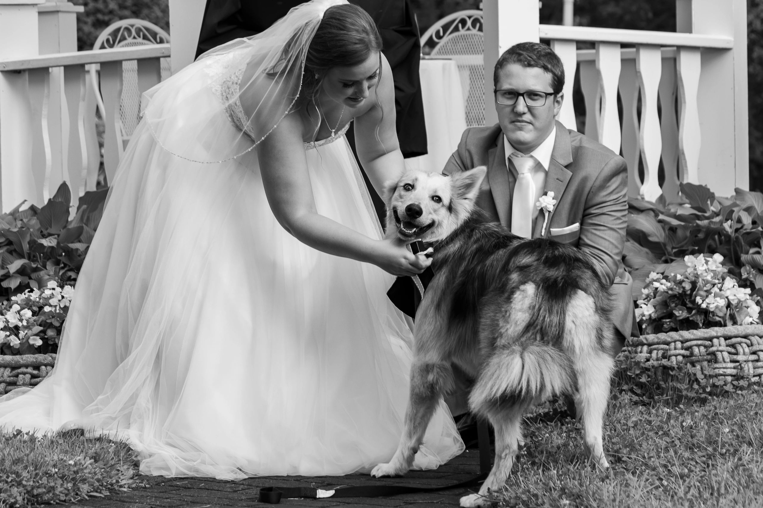 Danny's Wedding Photo 24
