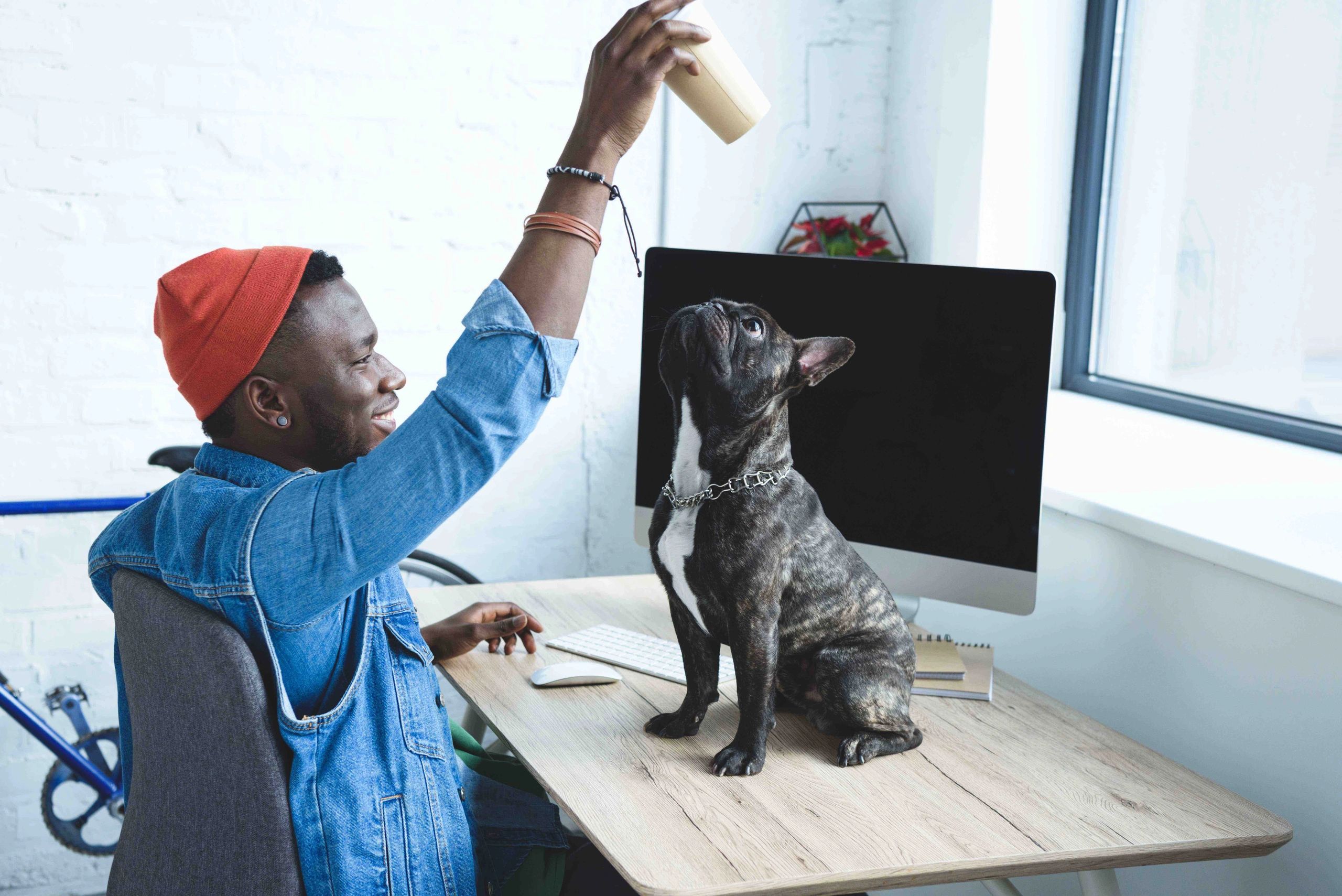 black man holding cup above small dog