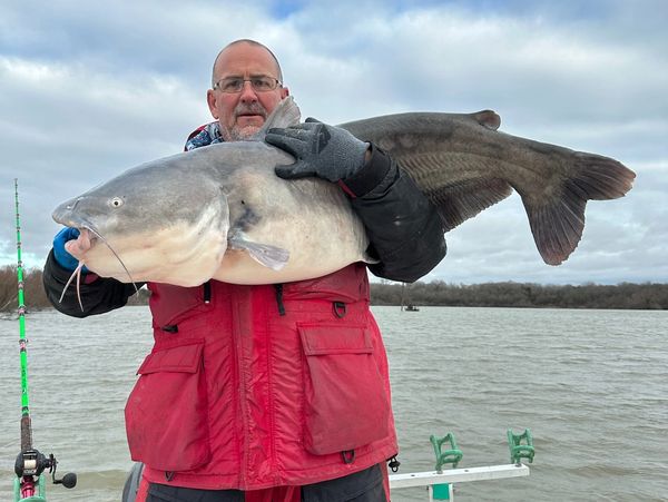 fishing guides near me. fishing guides texas. fishing charters near me. fishing charters texas