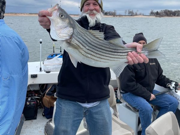 Striped bass fishing guides
