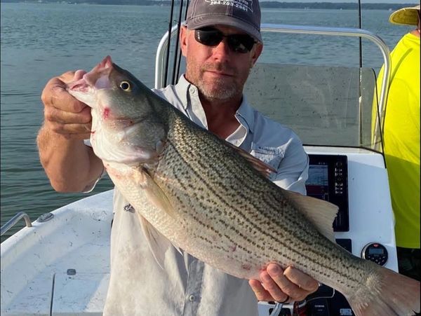 fishing guides near me.  fishing charters near me.  fishing guides texas. fishing guides north texas