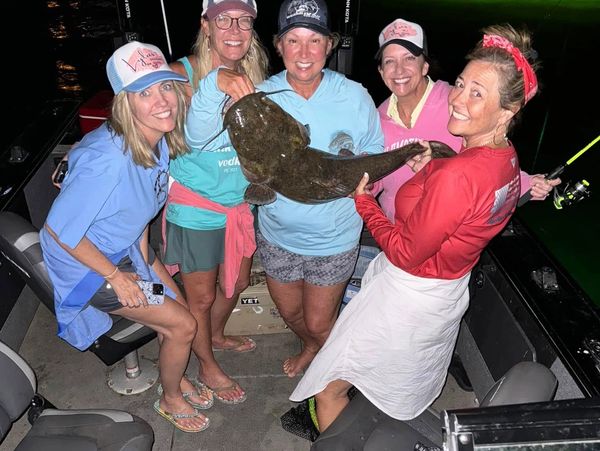 Catfish guides texas
texas catfish guides
Lake lewisville fishing guides