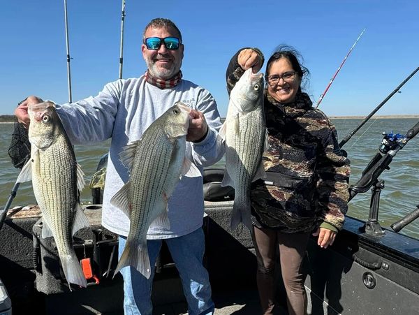 Striper fishing guides
lake bridgeport fishing guides
fishing guide near me