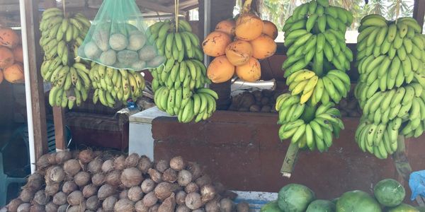 A tropical fruit stand with bananas, coconuts, and other fruits.
