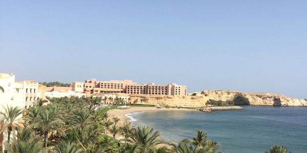 Coastal resort with palm trees and sandy beach under clear blue sky.