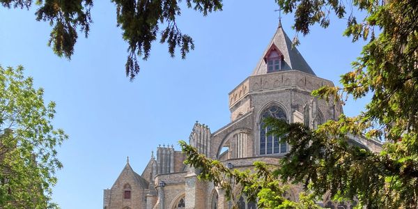 Historic church tower framed by green trees under clear blue sky.
