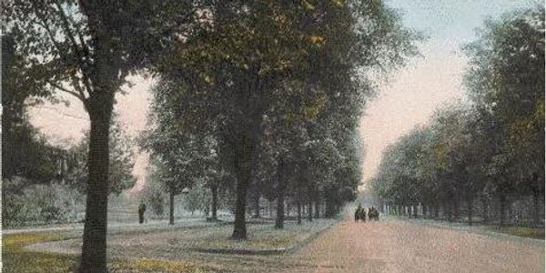 Tree-lined Manning Boulevard with people walking and a vintage atmosphere.