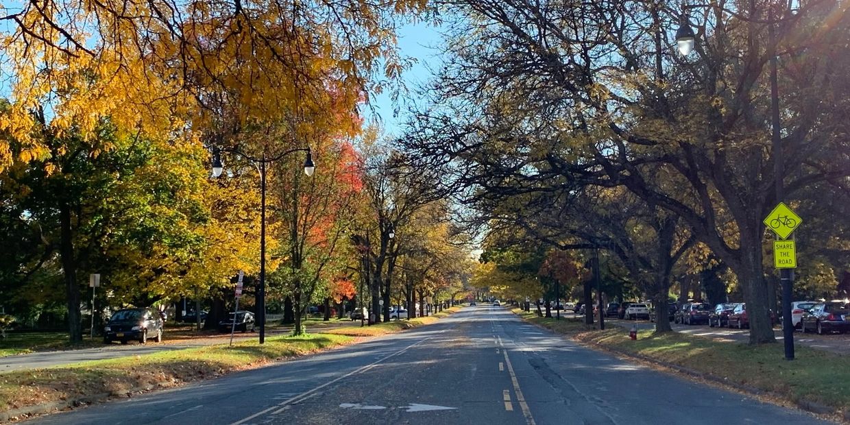 A quiet, sunny road lined with autumn trees and a bicycle sign.