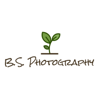 B.S. Photography
