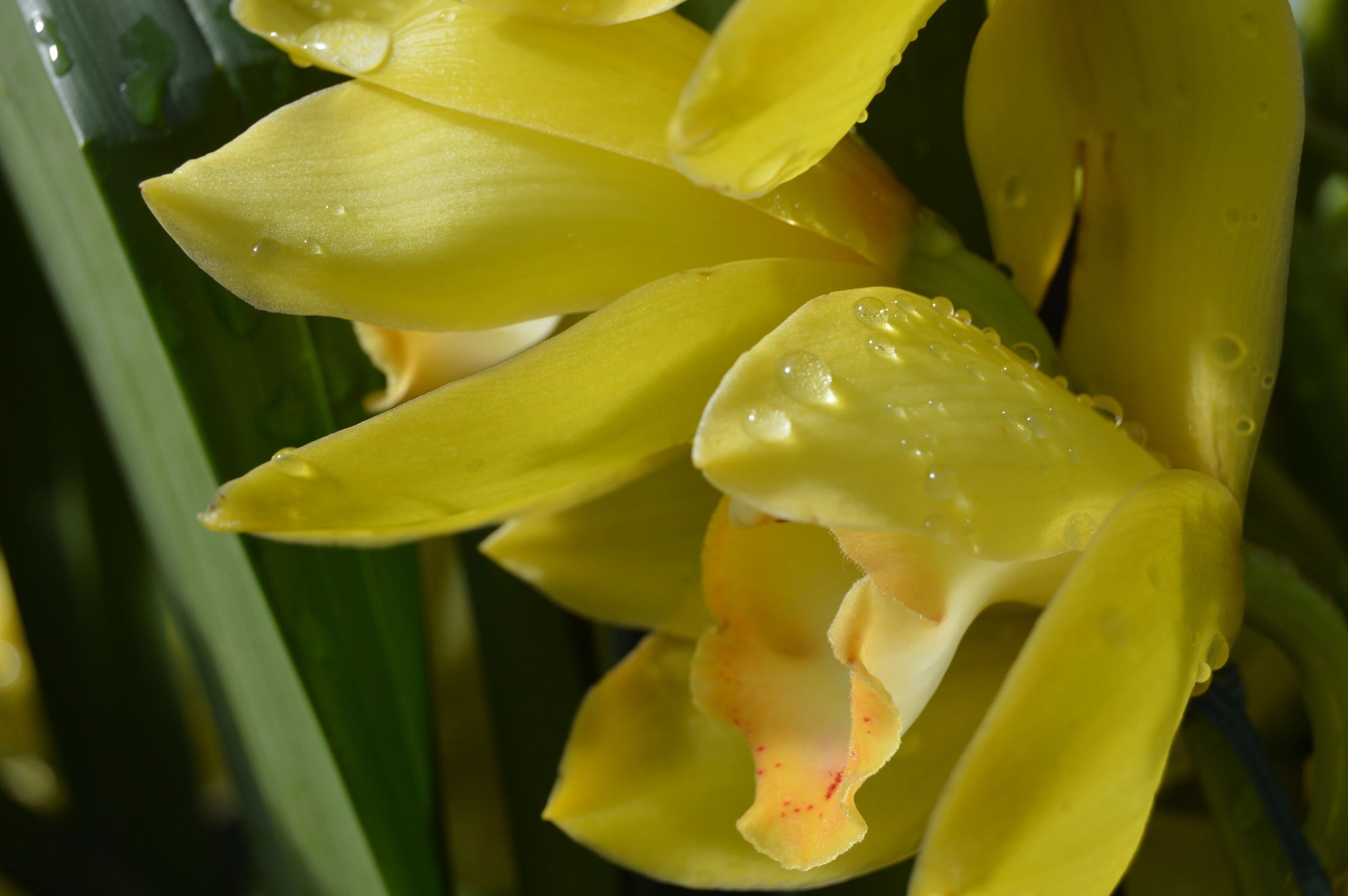 image74