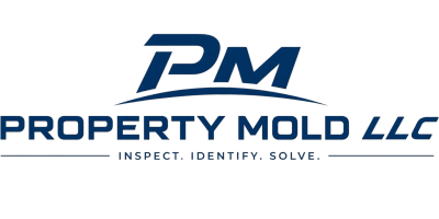 Absolute Mold Pros LLC