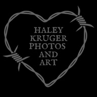 Haleykrugerphotos.art