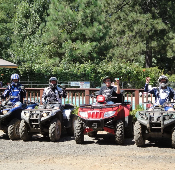 Four people on ATVs, raising drinks, surrounded by trees.