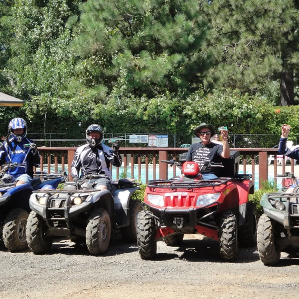 Four people on ATVs, raising drinks, surrounded by trees.