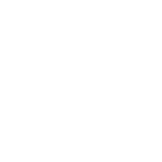 Upstate Law 