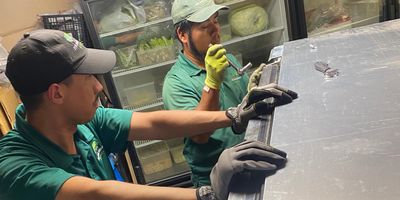 Two professional junk removal specialists are removing a large refrigerator inside a business space.