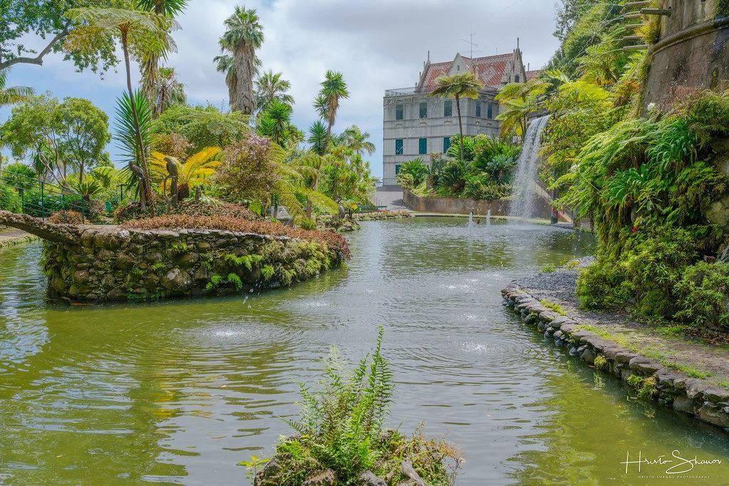 madeira,funchal,island,portugal
