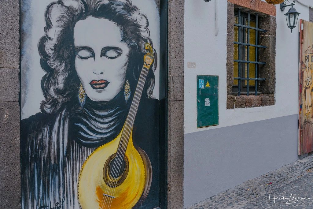 madeira,funchal,island,portugal