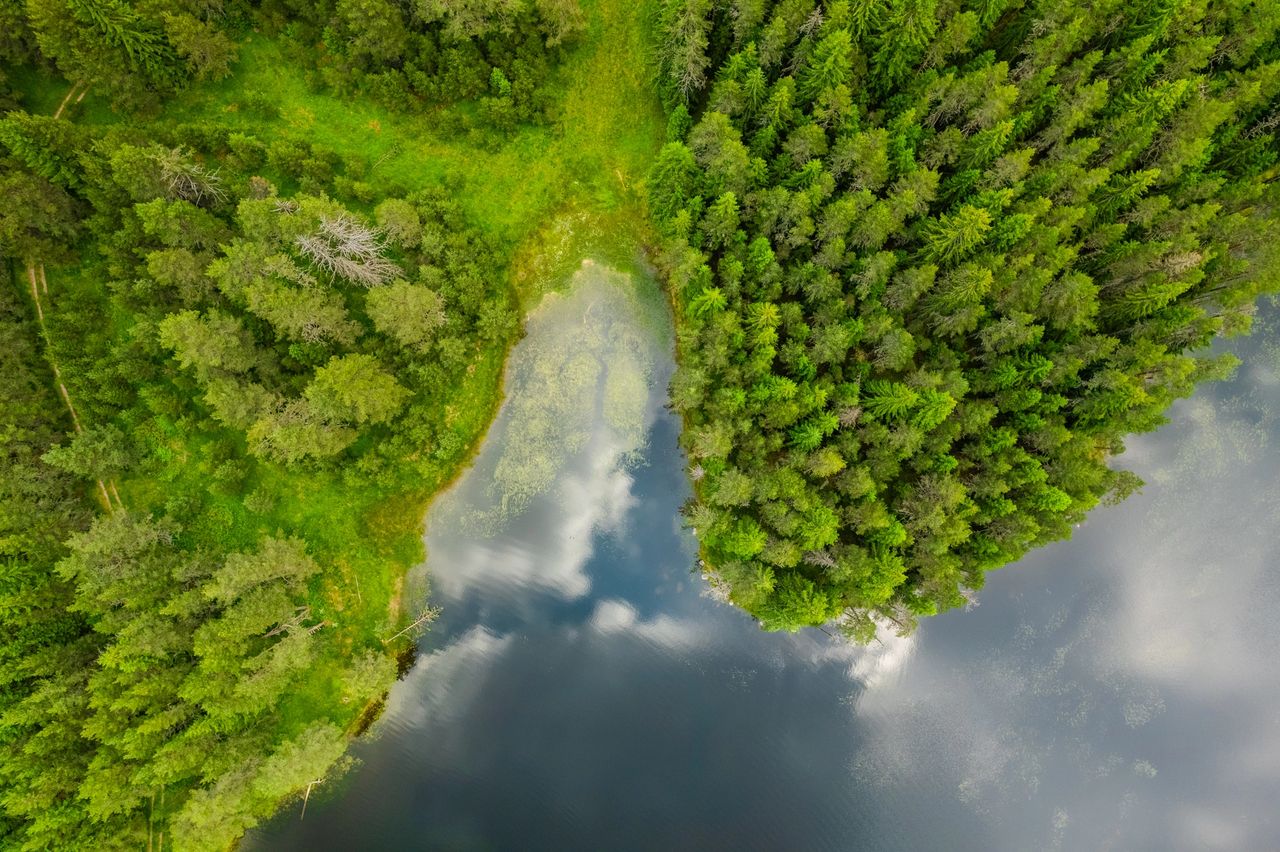 Lakes of Shiroka Polyana