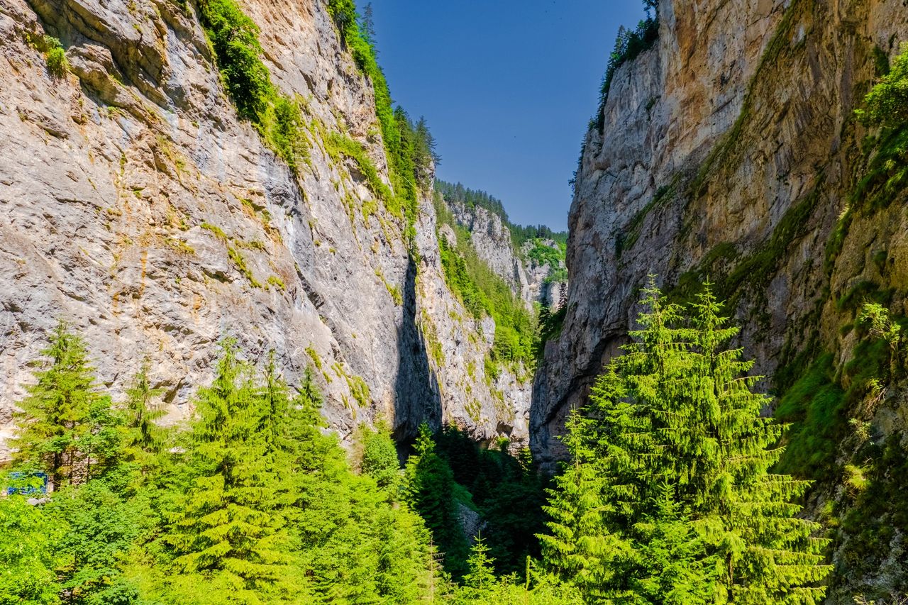 Trigrad Gorge in the Rhodope Mountains