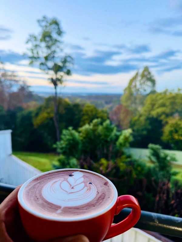 A hand holding a cup of hot chocolate with latte art, overlooking a green landscape.