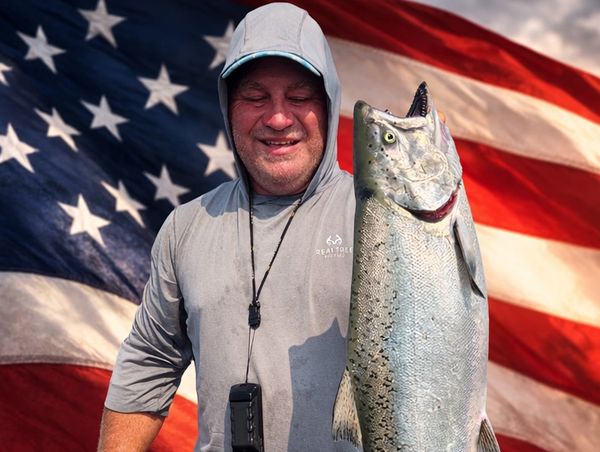 Chinook salmon from lake Oahe, Pierre SD