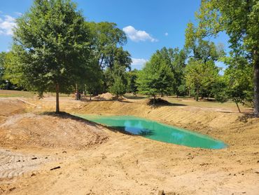 Cleared land with a green tarp covering a small area.