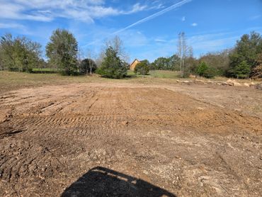 Cleared, bare earth under a blue sky.
