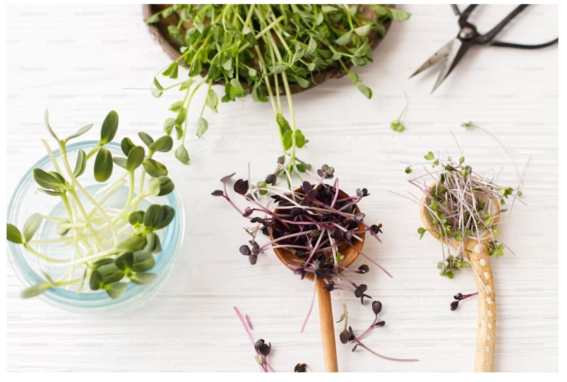 Microgreens & Co.