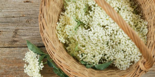 Basket filled with fresh elderflower blossoms on a wooden surface.