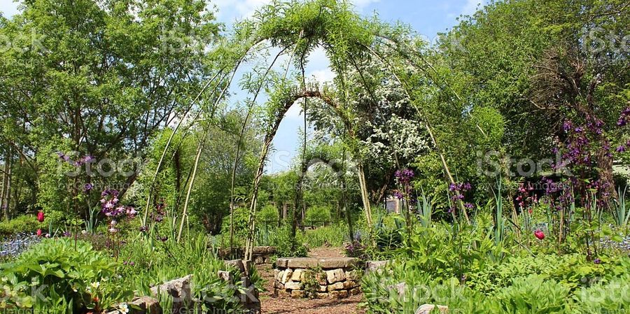 A peaceful garden path with a wooden archway.