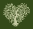 the Family Branch website