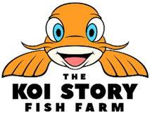 The Koi Story Fish Farm