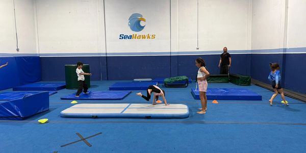 Gimnasia y cheerleading.  Seahawks all stars Bogotá. Club de porrismo, clases de gimansia