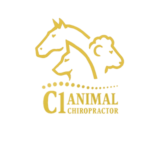 C1 Animal Chiropractor