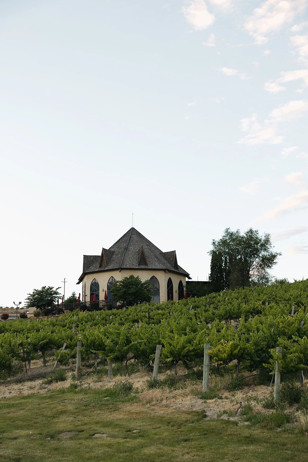 Idaho Mountain Wedding Venues - Idaho Elopement Photographer | Tiana Olivia  Photography, image size:1067x1600