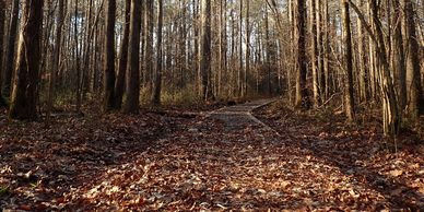 Ocmulgee Trail located in Jasper County, Georgia