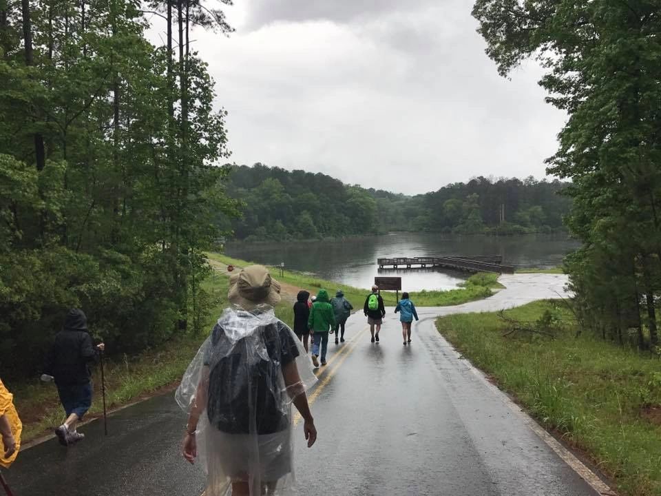 What's the Difference Between Hiking and Walking