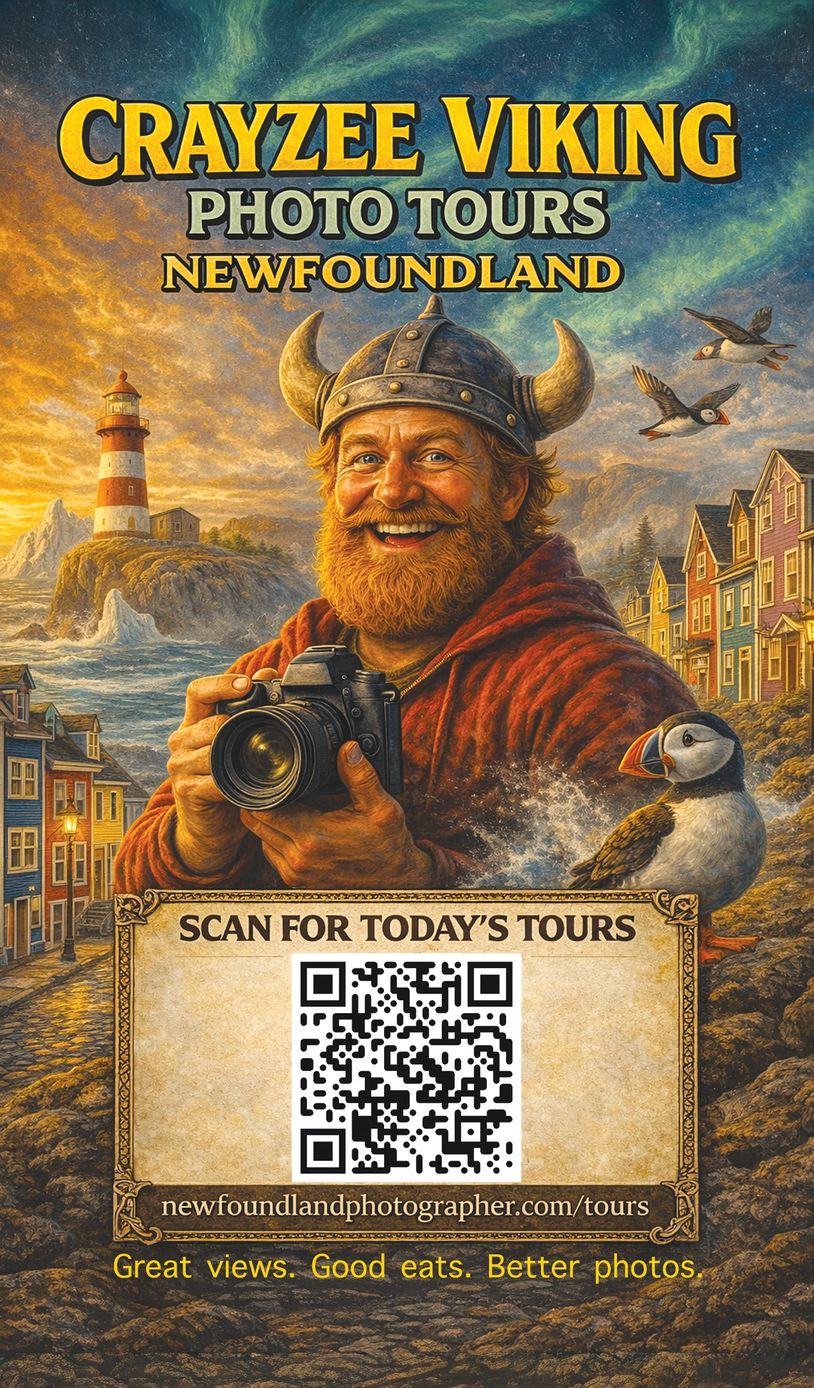 Smiling Viking with camera offers photo tours in Newfoundland, featuring puffins and scenic coastal views.