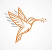 HummingbirdHR 