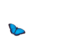 Agua San Angel