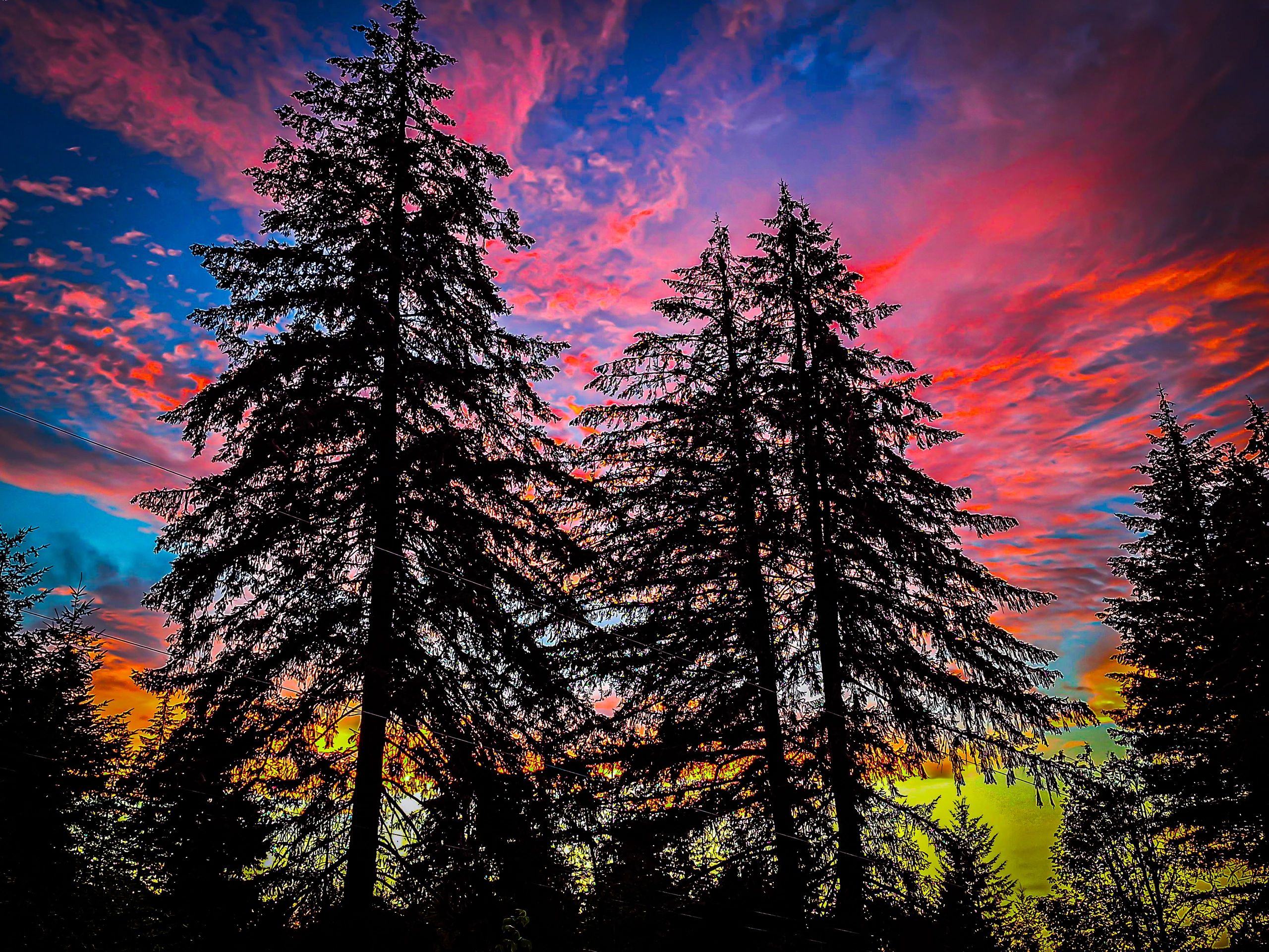 Silhouetted pine trees against a vivid, colorful sunset sky.