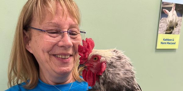 Smiling woman holding a chicken indoors.