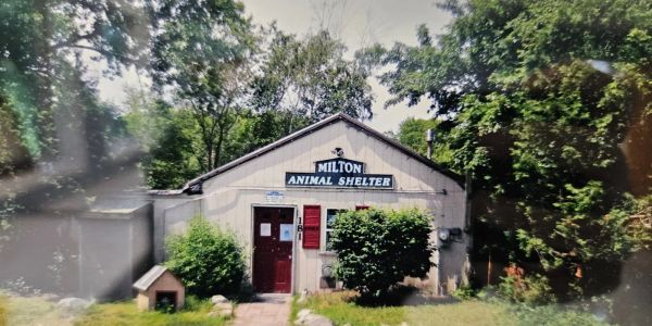 Milton Animal Shelter building surrounded by greenery.